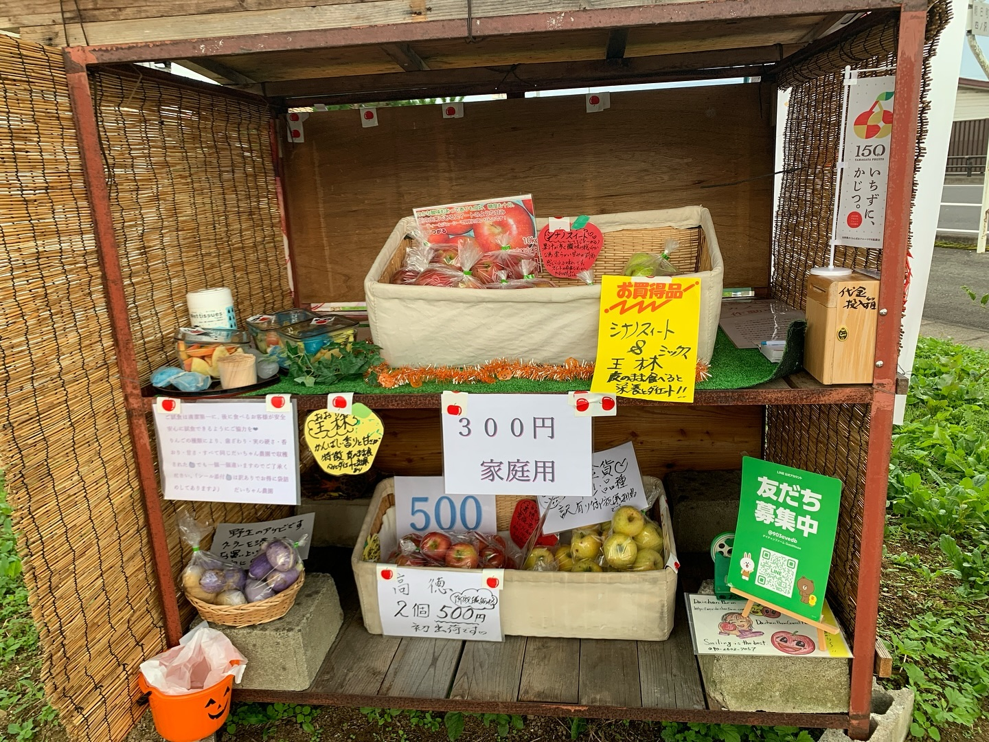 おはようございます✨！今日の朝は特別な日です