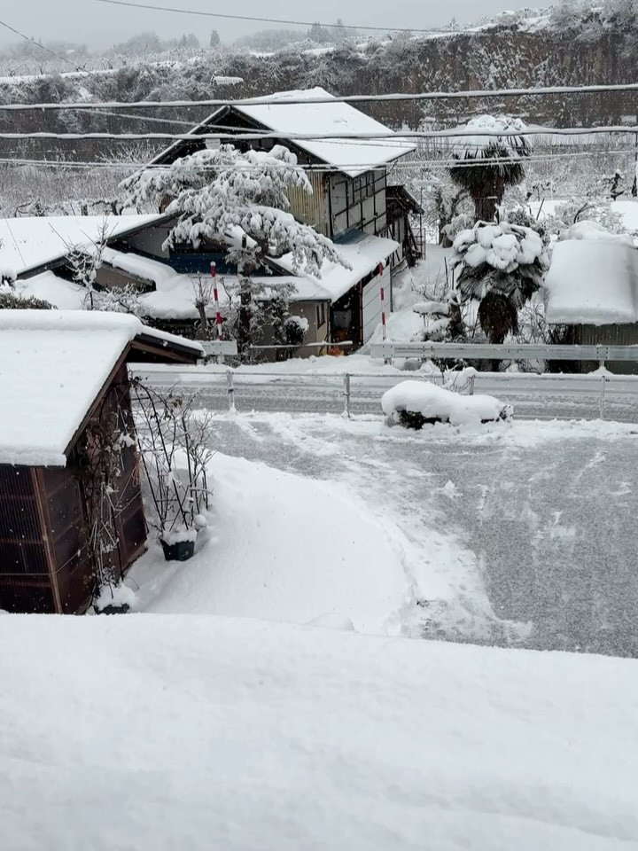 皆さん、おはようございます！今朝は早朝から一生懸命、夫が除雪