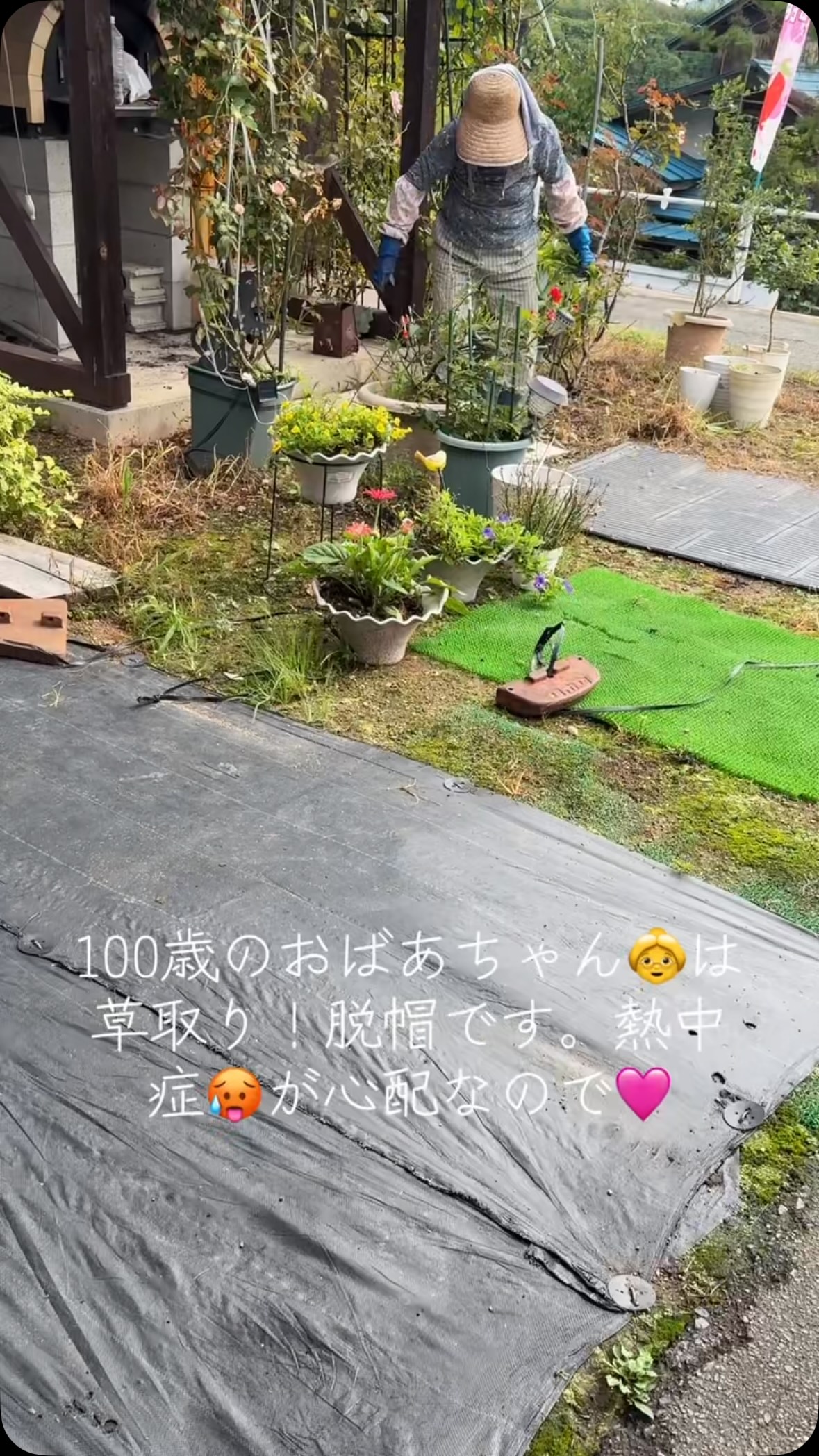 本日も素敵な朝を迎えました