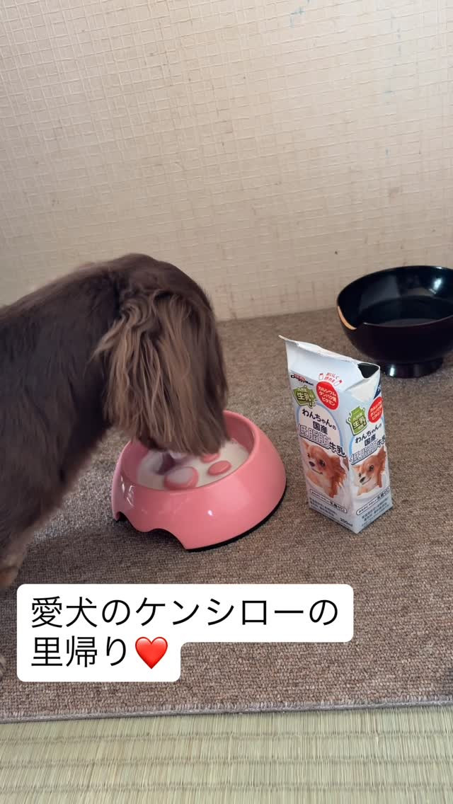 おはようございます 当民宿では、100歳になるおばあちゃんも