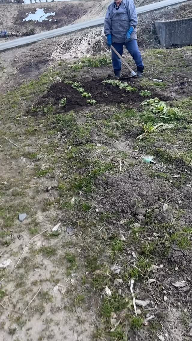 こんばんは！わが宿からの素敵なエピソードをいただきました✨