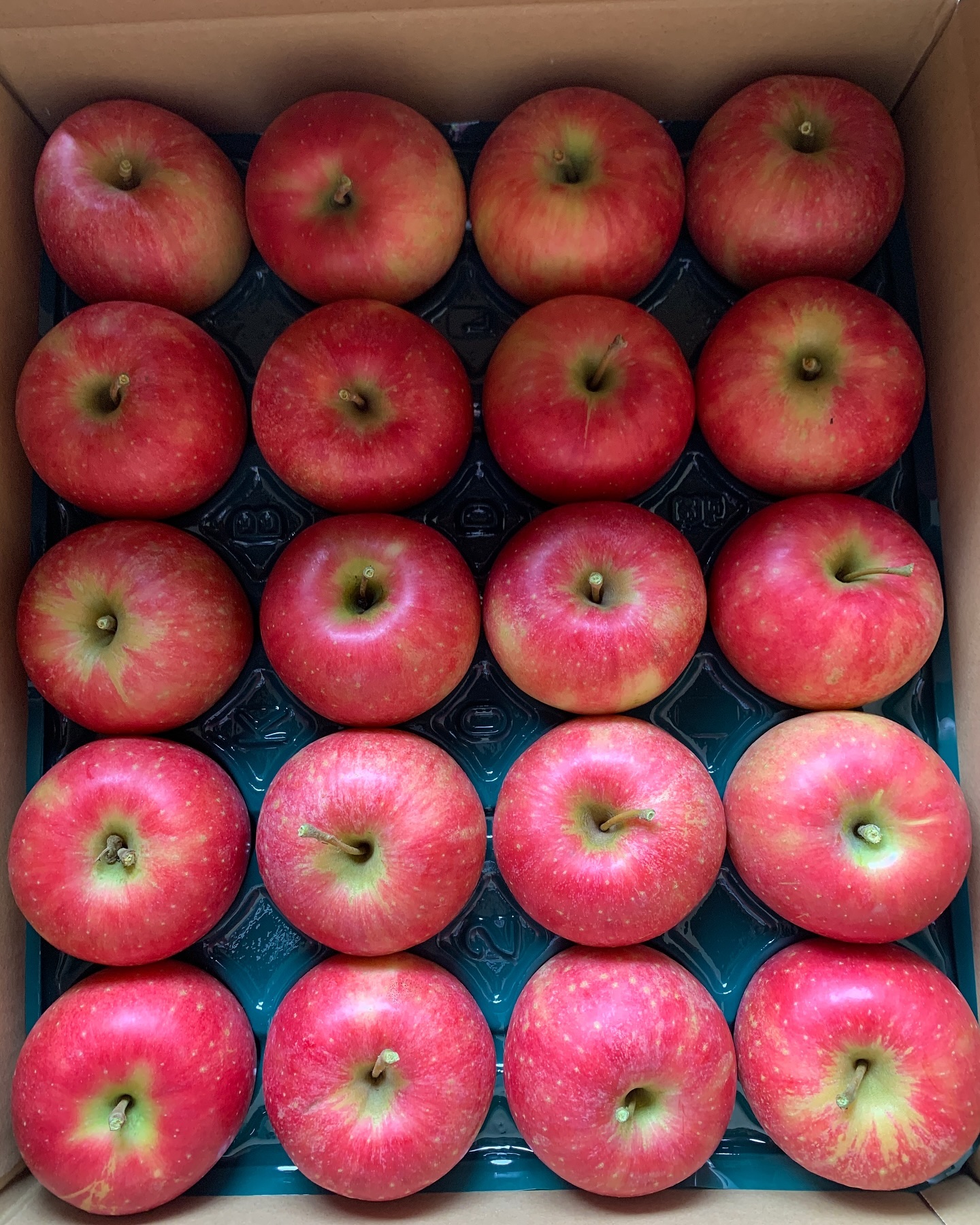 大切な方に秋陽の特秀ギフトを送ります