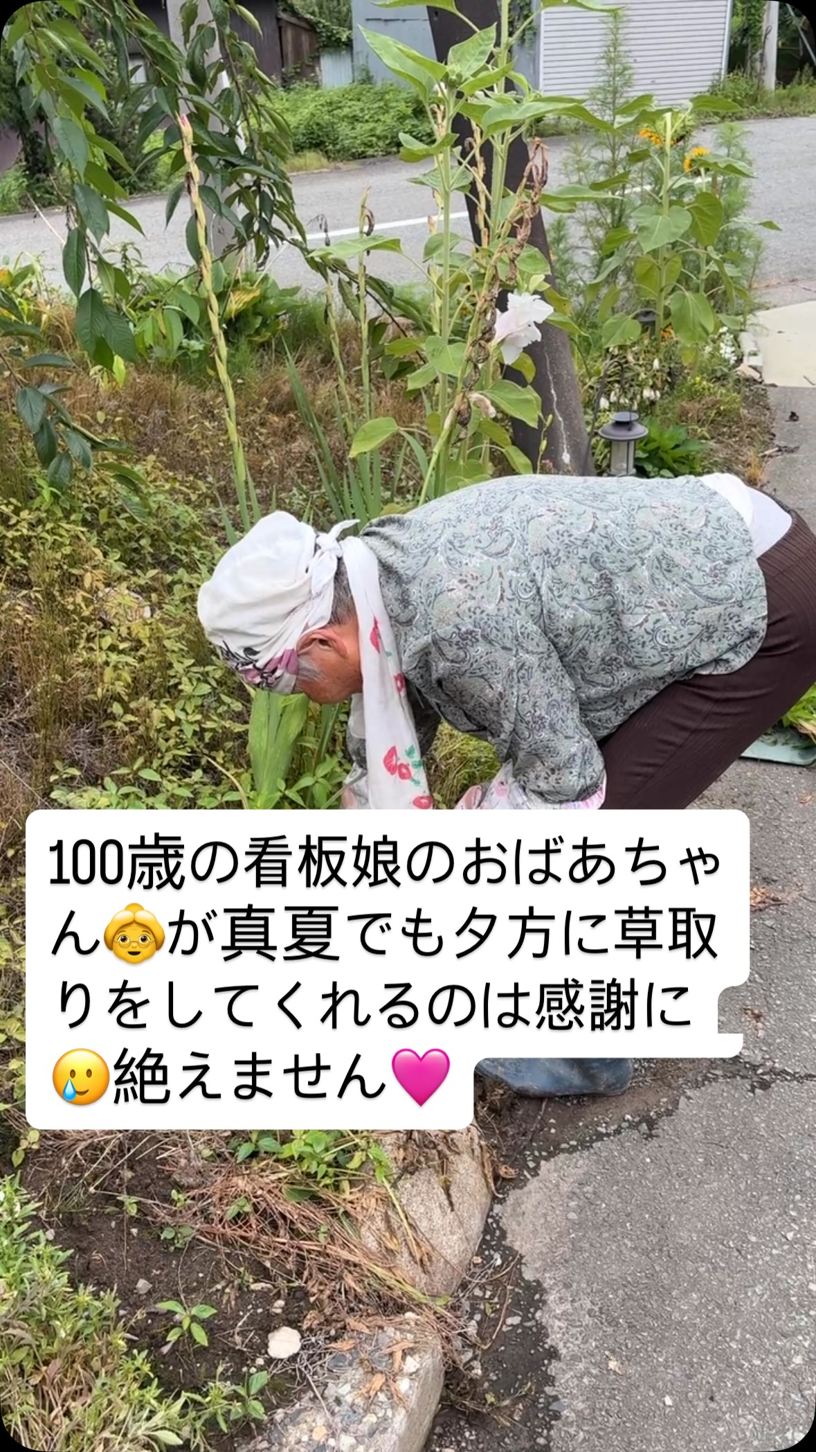 看板娘のおばあちゃんが教えてくれたこと