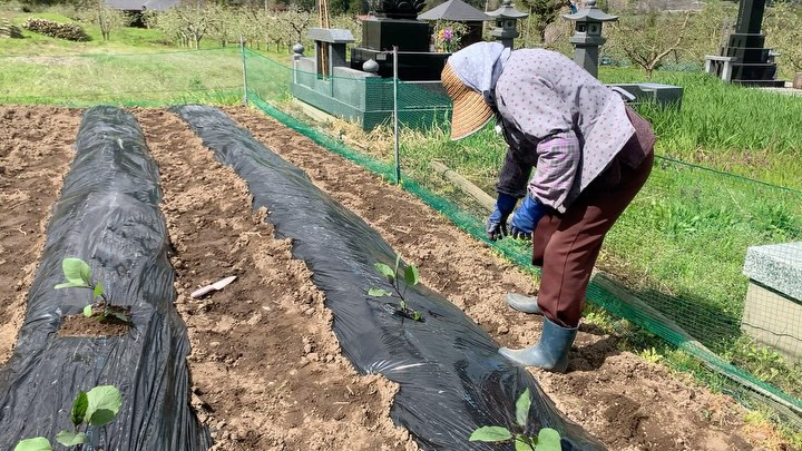 こんにちは、皆さん！今日はお庭で素敵な時間を過ごしました