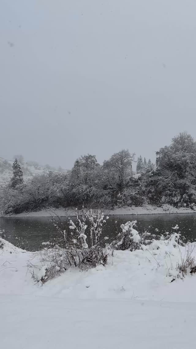 こんにちは！最上川沿いの美しい朝日町川通で、冬のお散歩を満喫