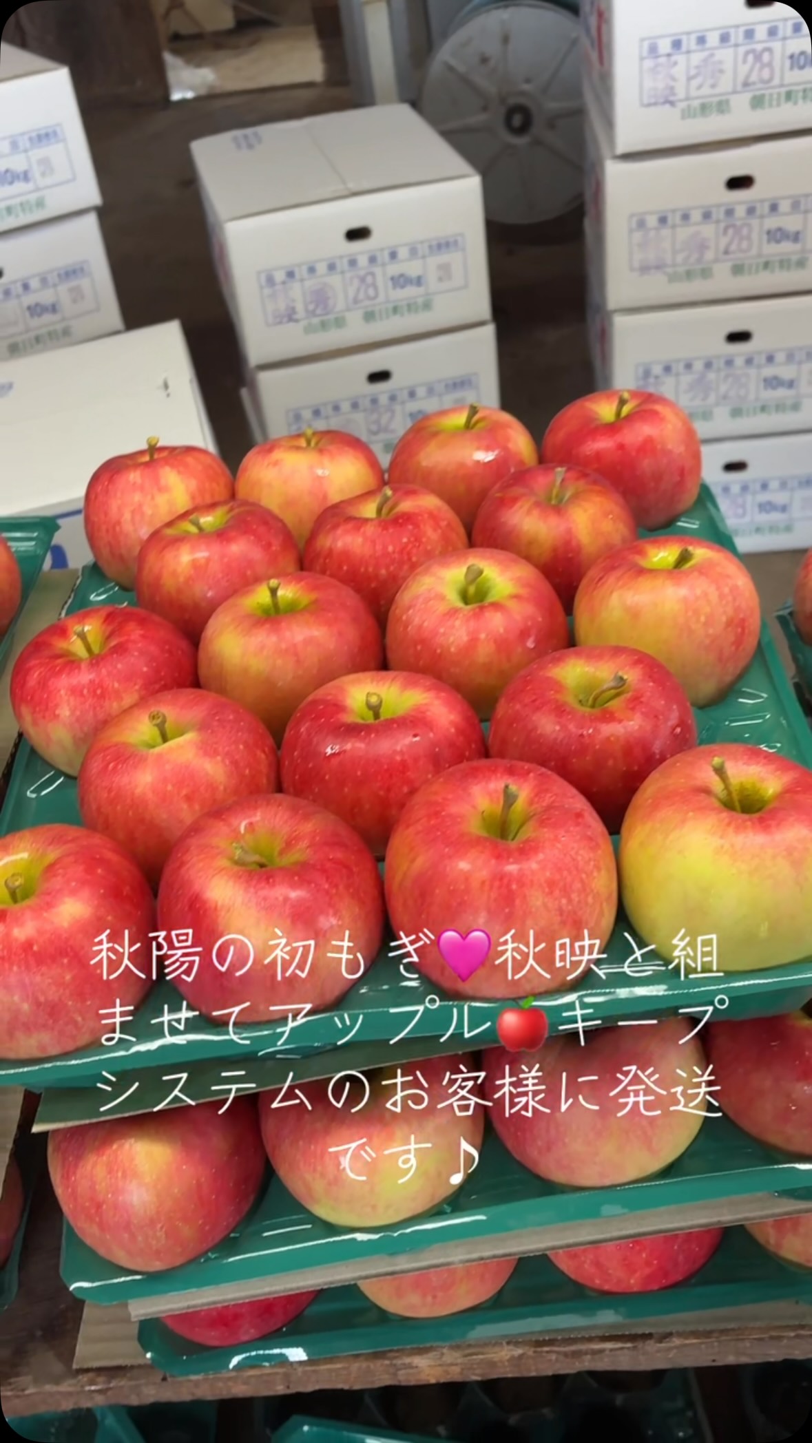 こんにちは