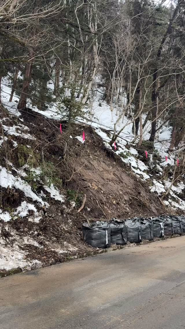 朝日町川通に位置するザルの桜の名所にて、皆様にご迷惑をおかけ
