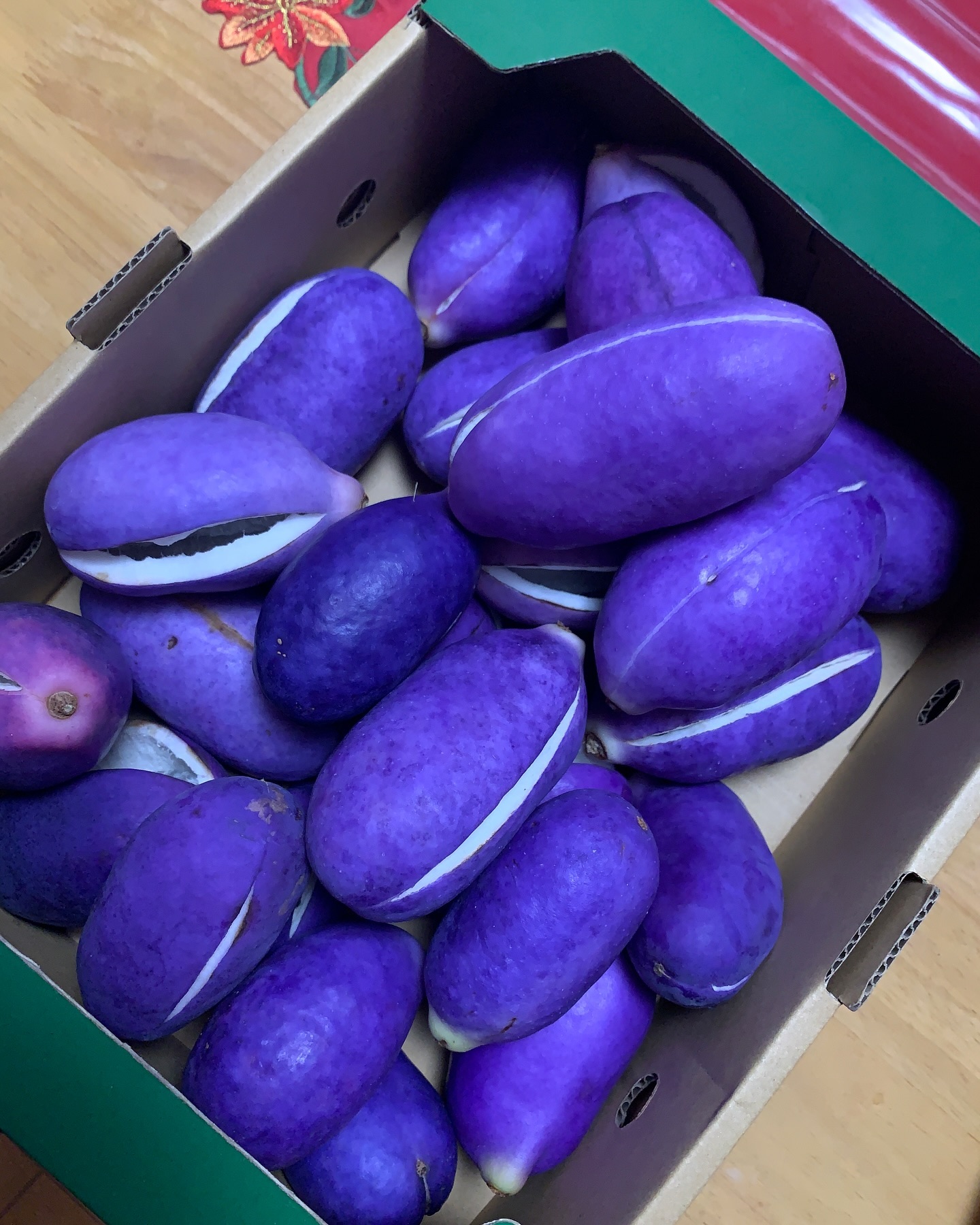 明日はYBCピヨタマの取材予定です