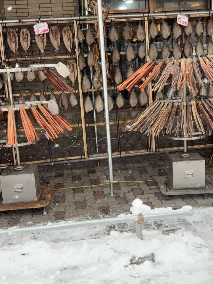 ✨北海道、小樽での海鮮市場で、新鮮な海の幸の数々を楽しみまし