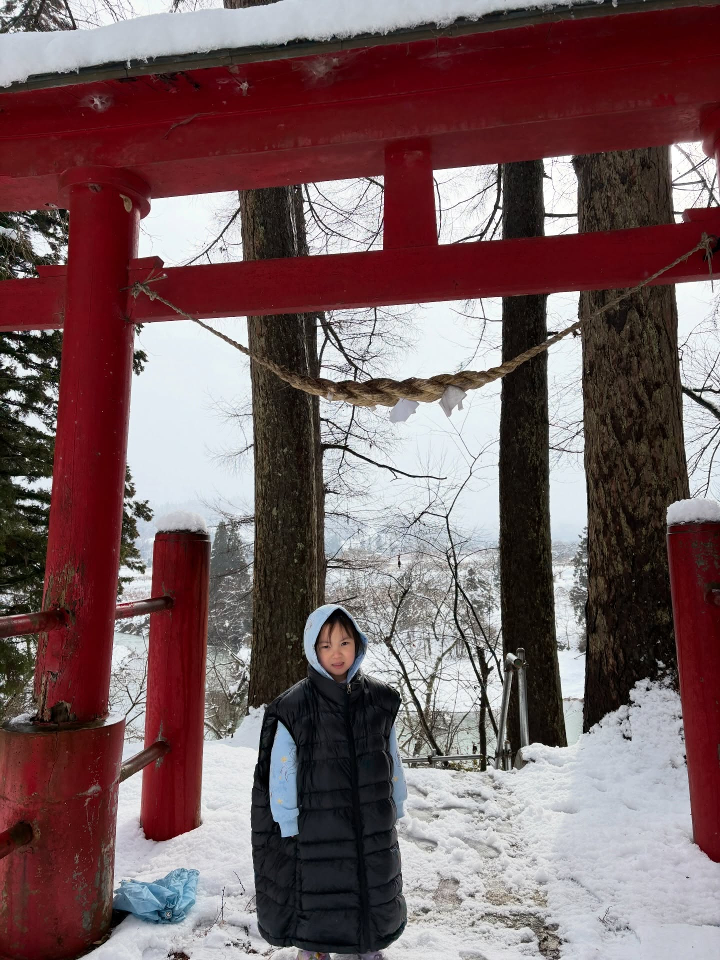 お正月が過ぎ去り、日常が戻ってきましたが、皆さまいかがお過ご