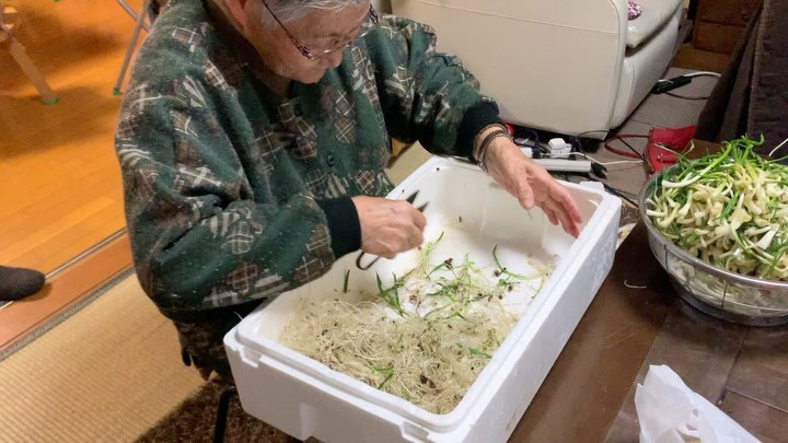こんばんは✨！だいちゃん農園ゲストハウスでは、食材の準備に家