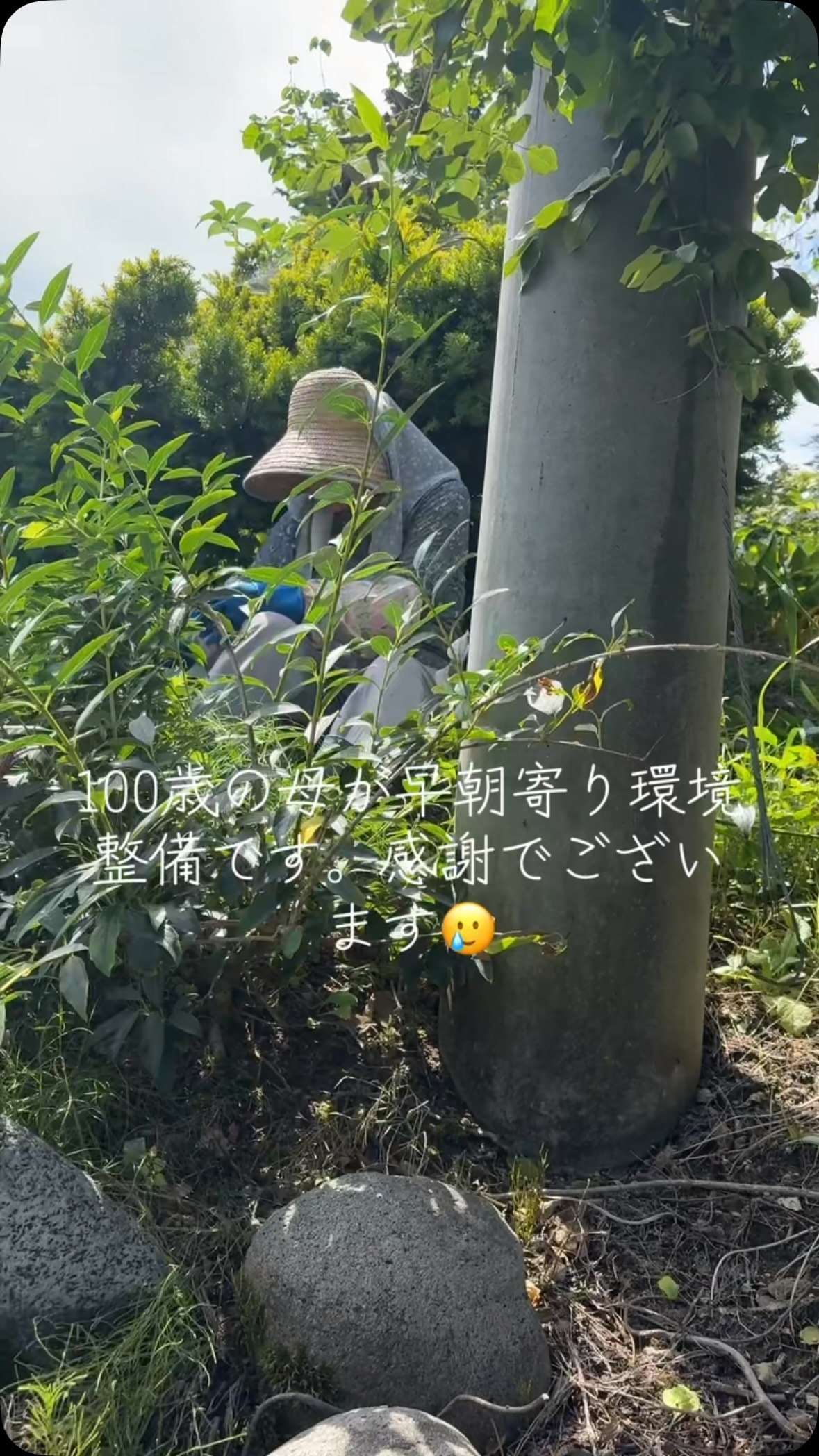 朝のひとときを母と共に