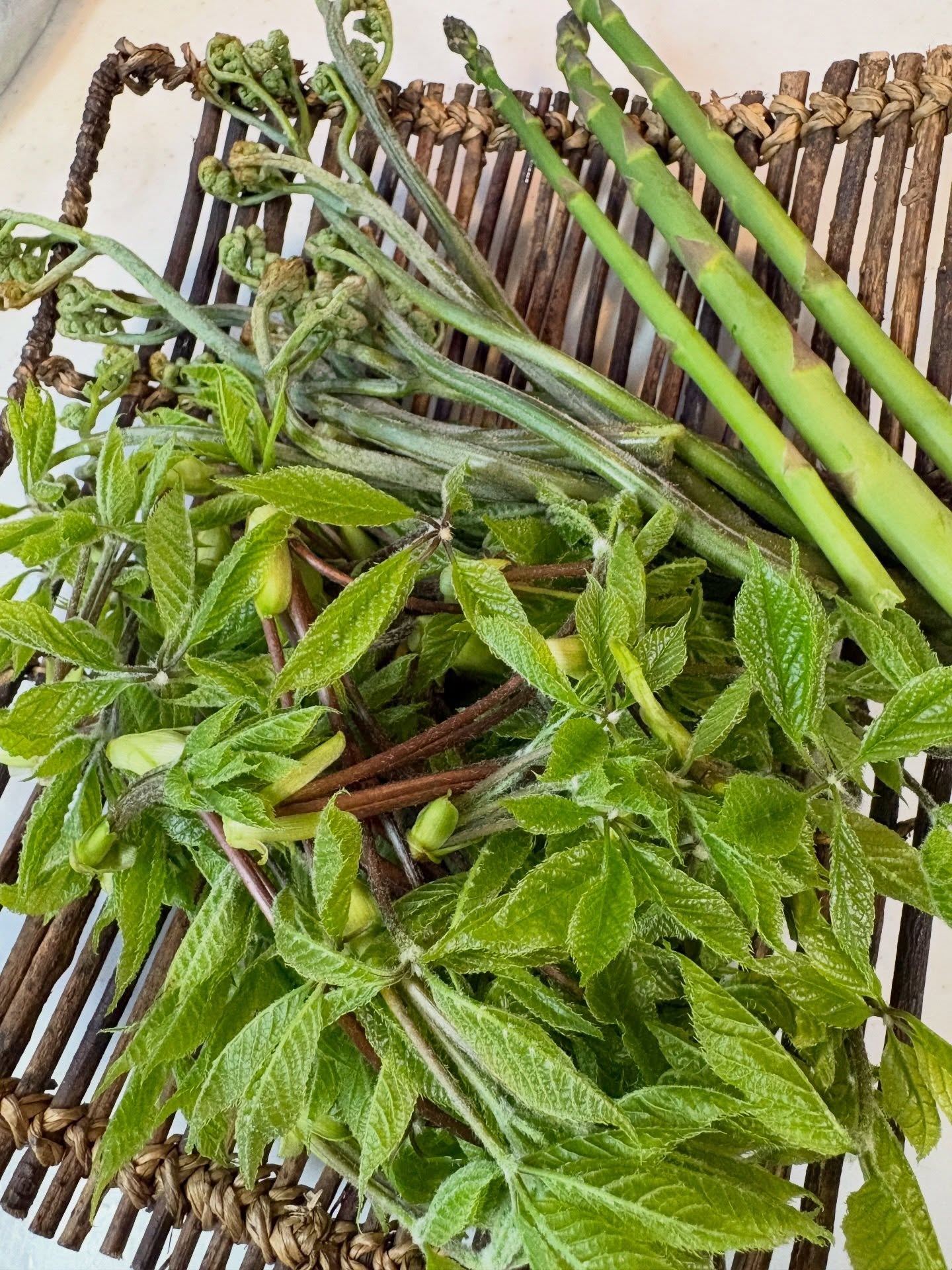 おはようございます 皆様のお越しを心よりお待ちしております