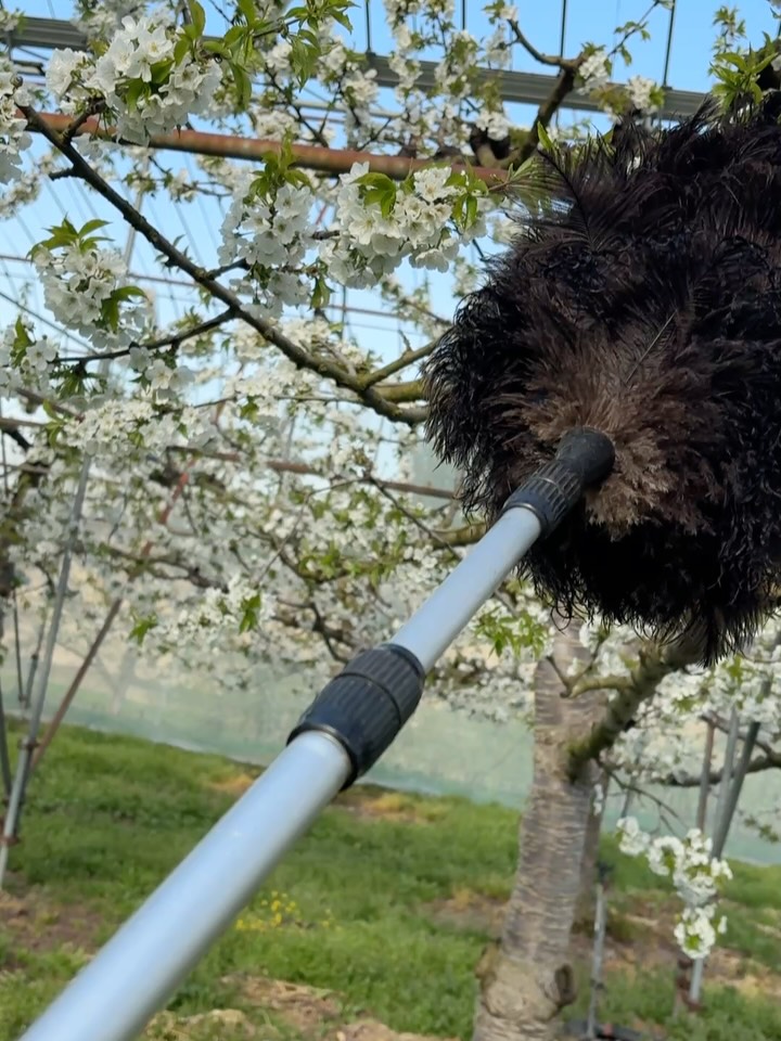こんばんは 新緑が芽吹き、春の訪れをしっかり感じる季節となり
