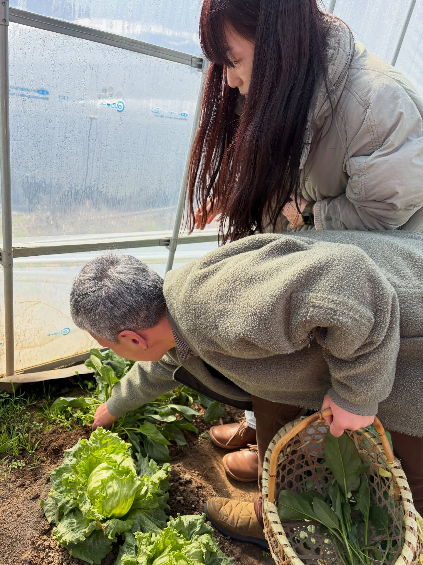 こんばんは✨ここ山形県の「冬の収穫日和」では、ひっぱりうどん