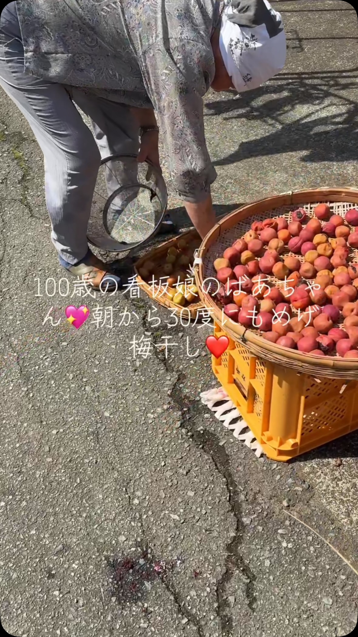 皆さん、今日も暑さに負けず元気にお過ごしですか？☀️