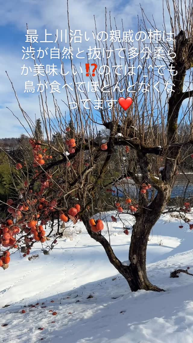 おはようございます！雨の朝日町での一日がスタートしました️