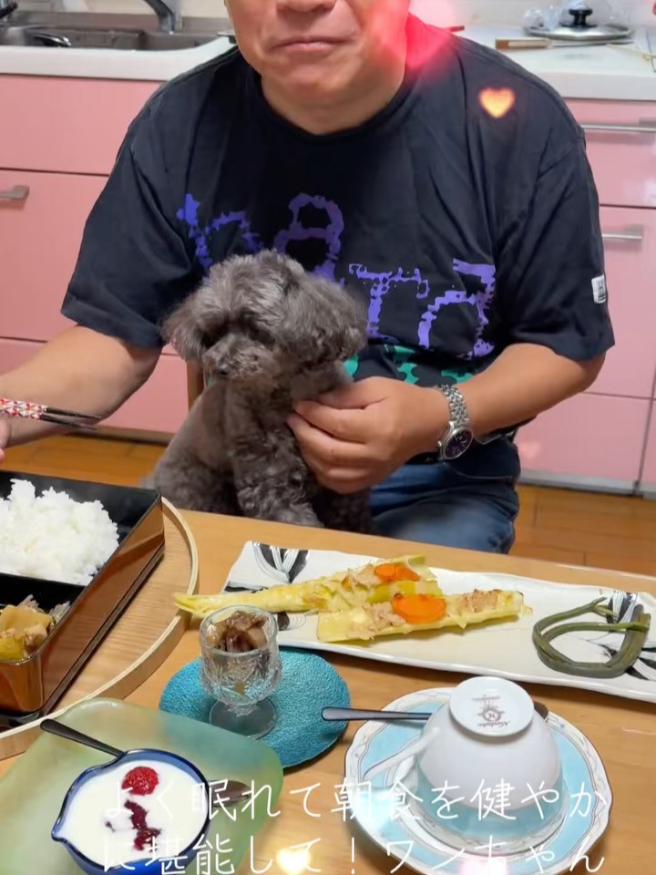 ペットと一緒にくつろげる宿はいかがですか？私たちは、広々とし