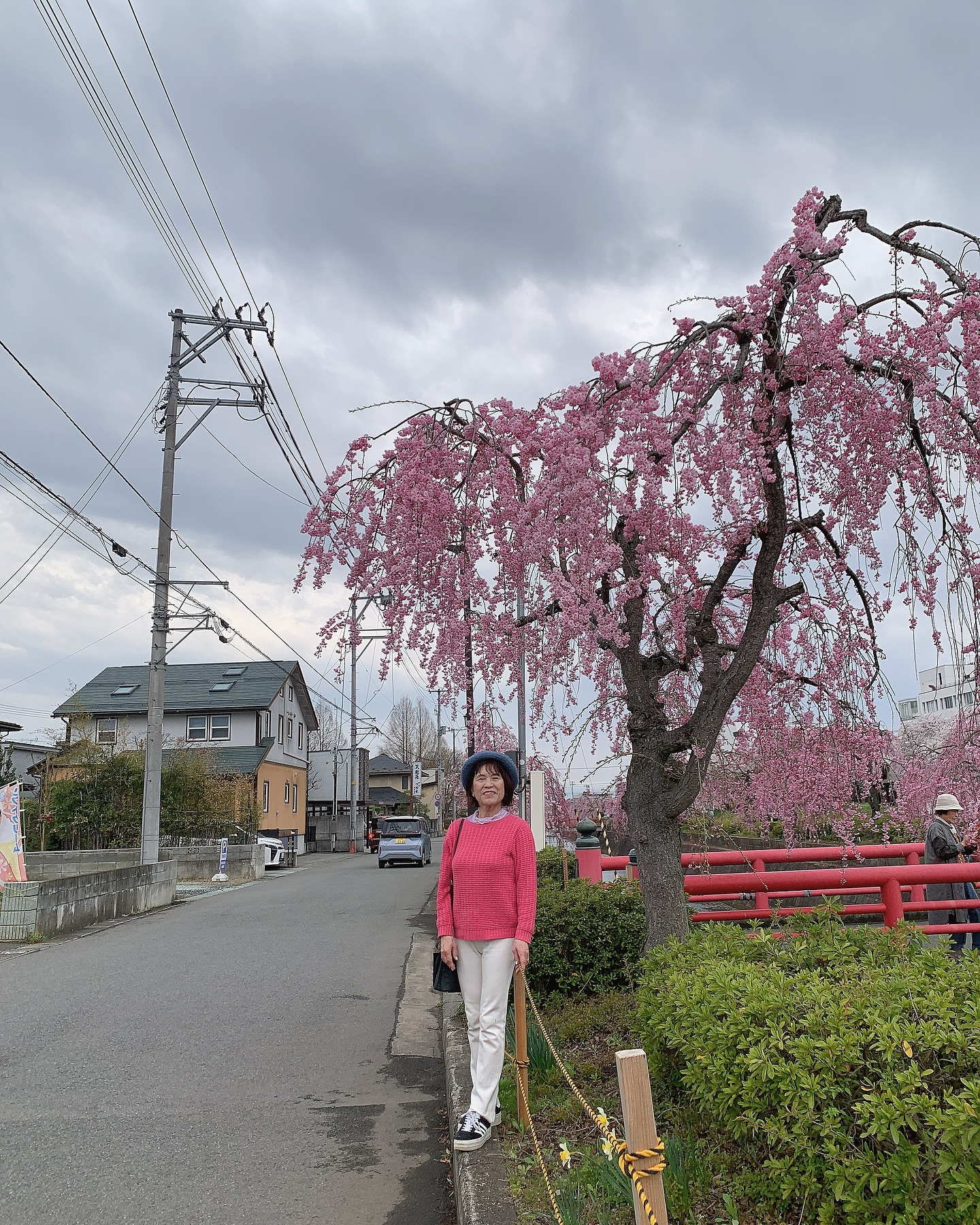 こんにちは、皆様！天童公園にて、今年もお花見の季節が訪れまし