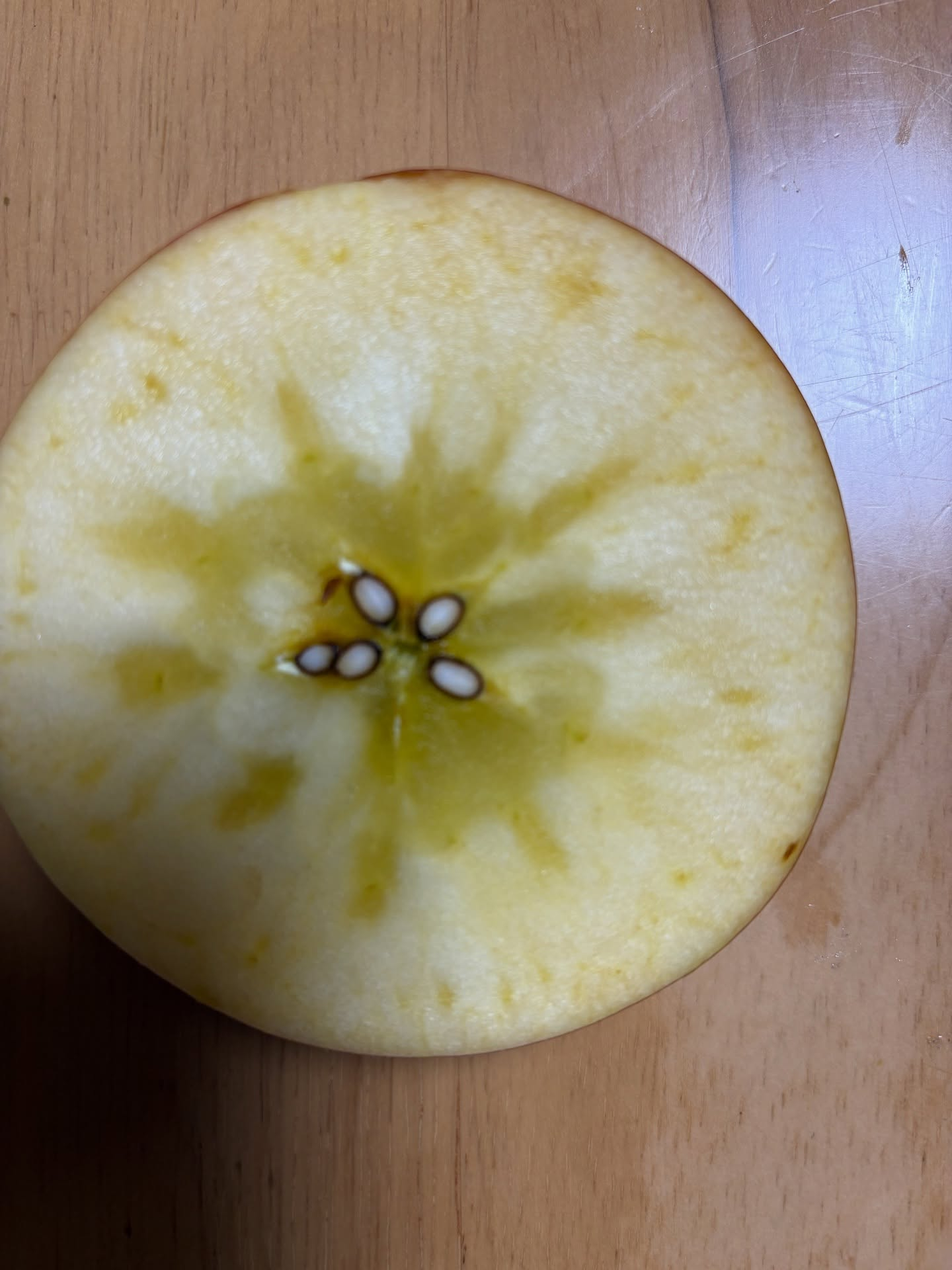 名産りんご、高徳の蜜入り具合を本日も丁寧にチェックしておりま