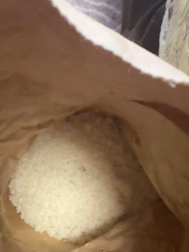 新潟の冬を楽しむなら、ぜひ「だいちゃん農園ゲストハウス」へ！