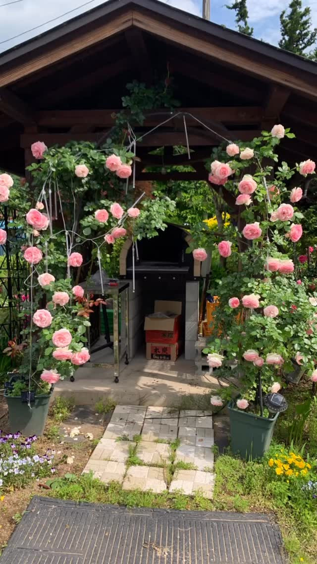 ✨ りんご温泉では、皆様からの貴重なご意見を大切にしており、