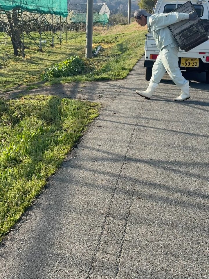 こんにちは！今日も快晴の素晴らしい日ですね☀️ 今朝は、さく