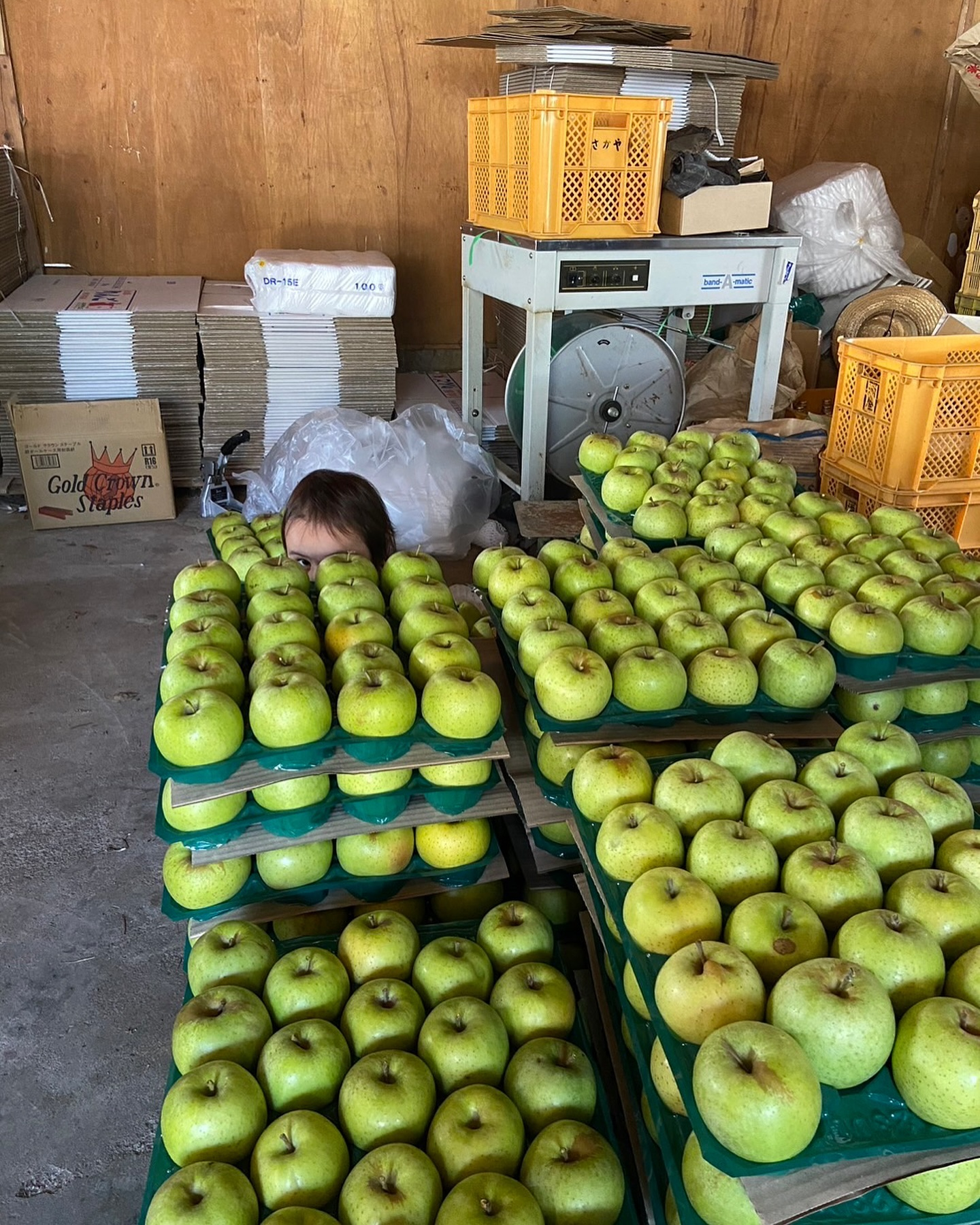 おはようございます