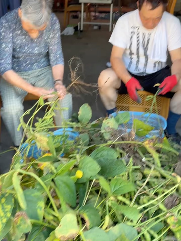 自然の恵みを感じるひと時を
