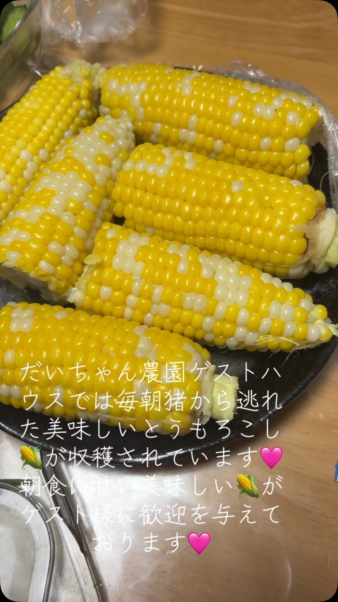 夏の醍醐味、甘くて美味しいとうもろこしがやってきました✨
