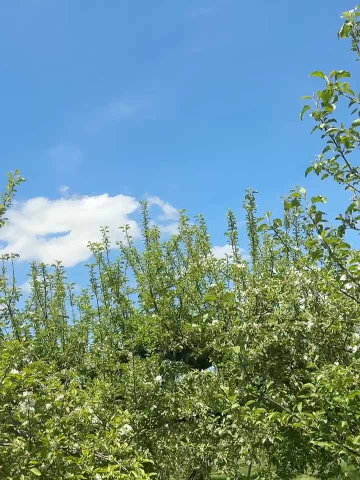 こんにちは本日、名古屋から特別なお客様がいらっしゃいました