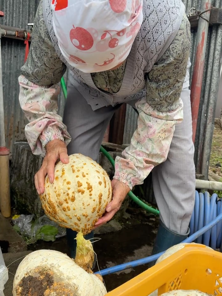 元気な100歳の看板娘、おばあちゃんが今日も大活躍中!