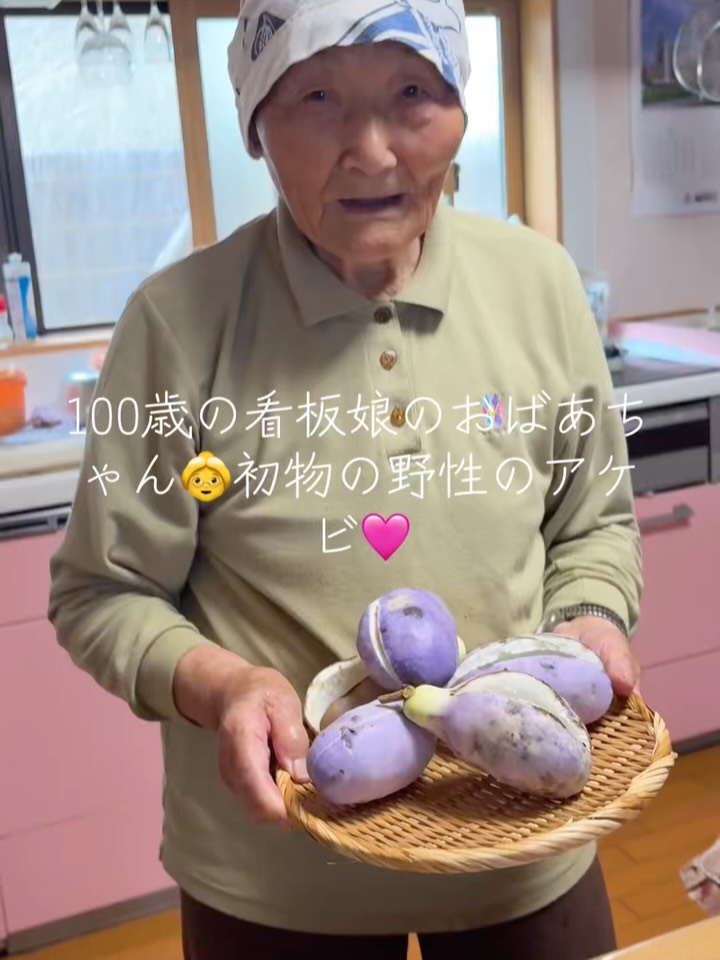 山からの贈り物