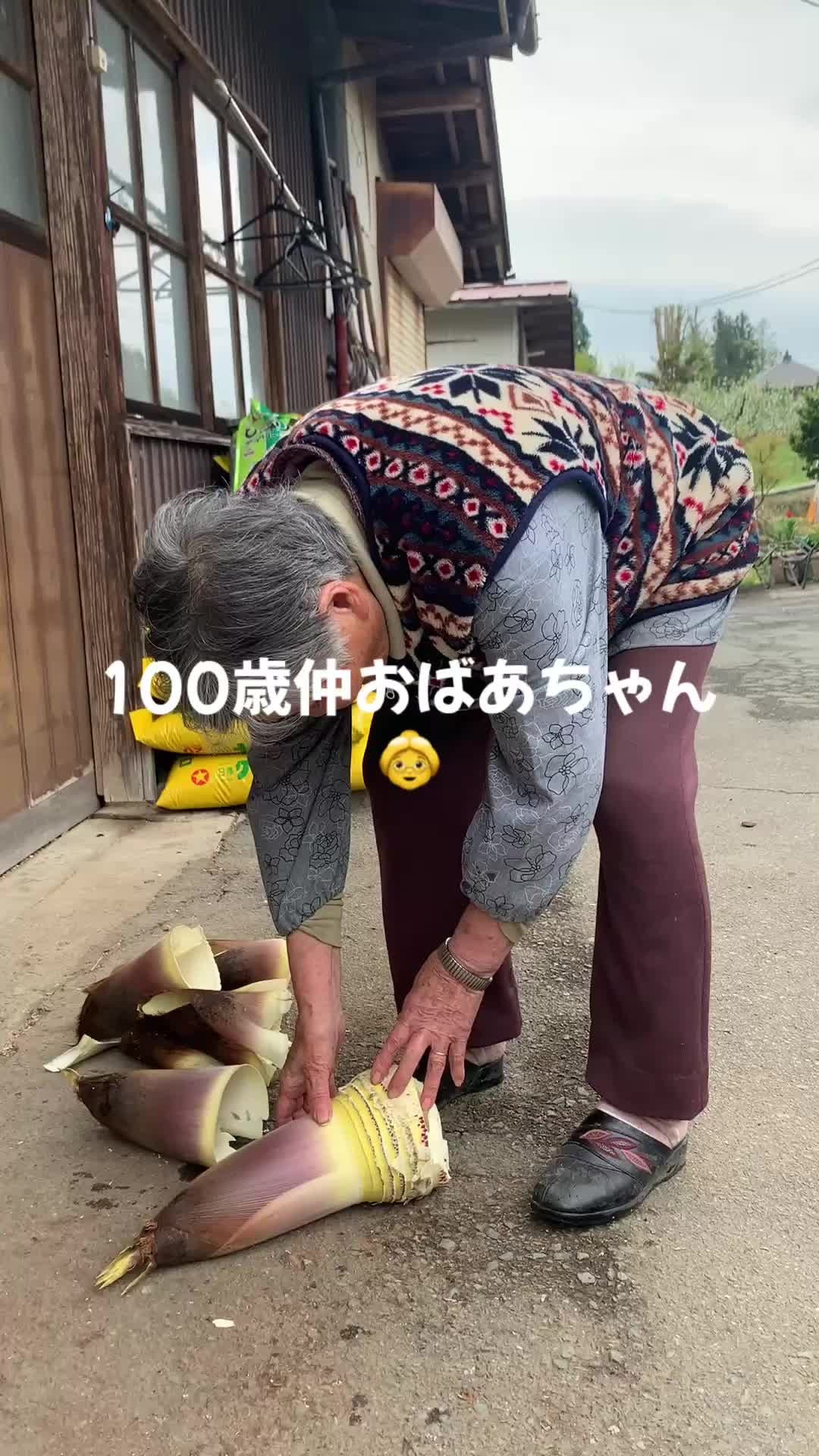 ✨ようこそ、春の恵みが満載の我が民宿へ