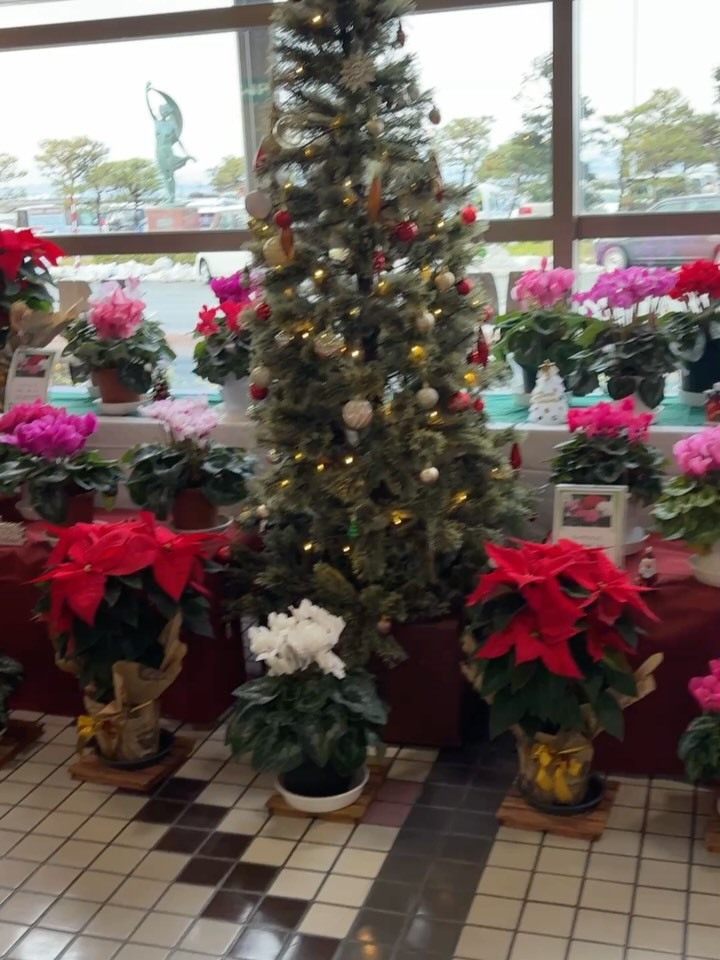 今日は、山形空港から北海道千歳空港へ参ります