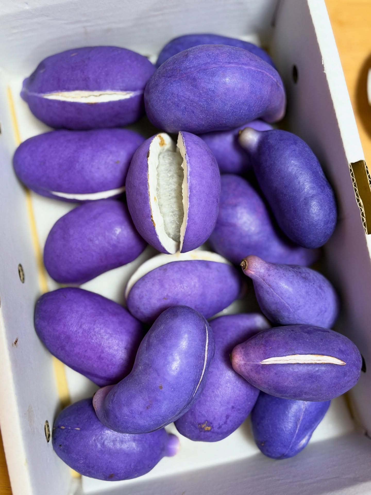 こんばんは