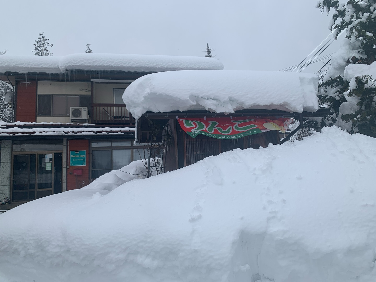 おはようございます✨！フランスからのお客様がご滞在いただいて