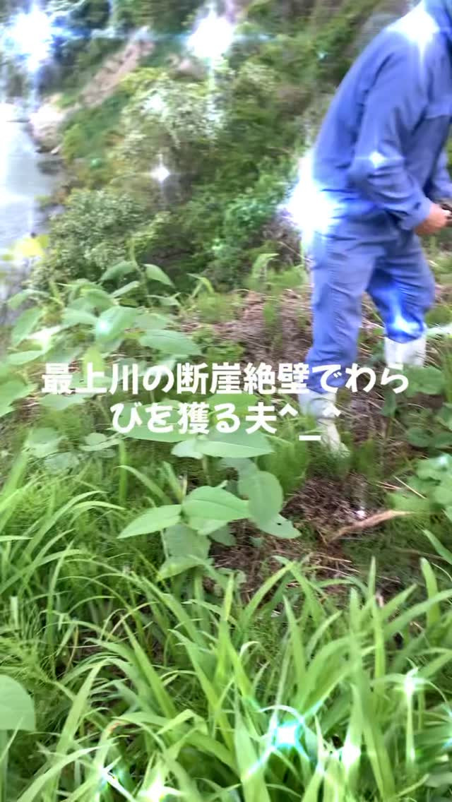大自然と共に営む「だいちゃん農園ゲストハウス」へようこそ✨