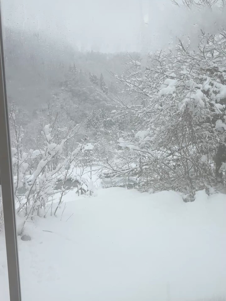 こんばんは！今日も充実した一日を過ごしました まずは日中に味