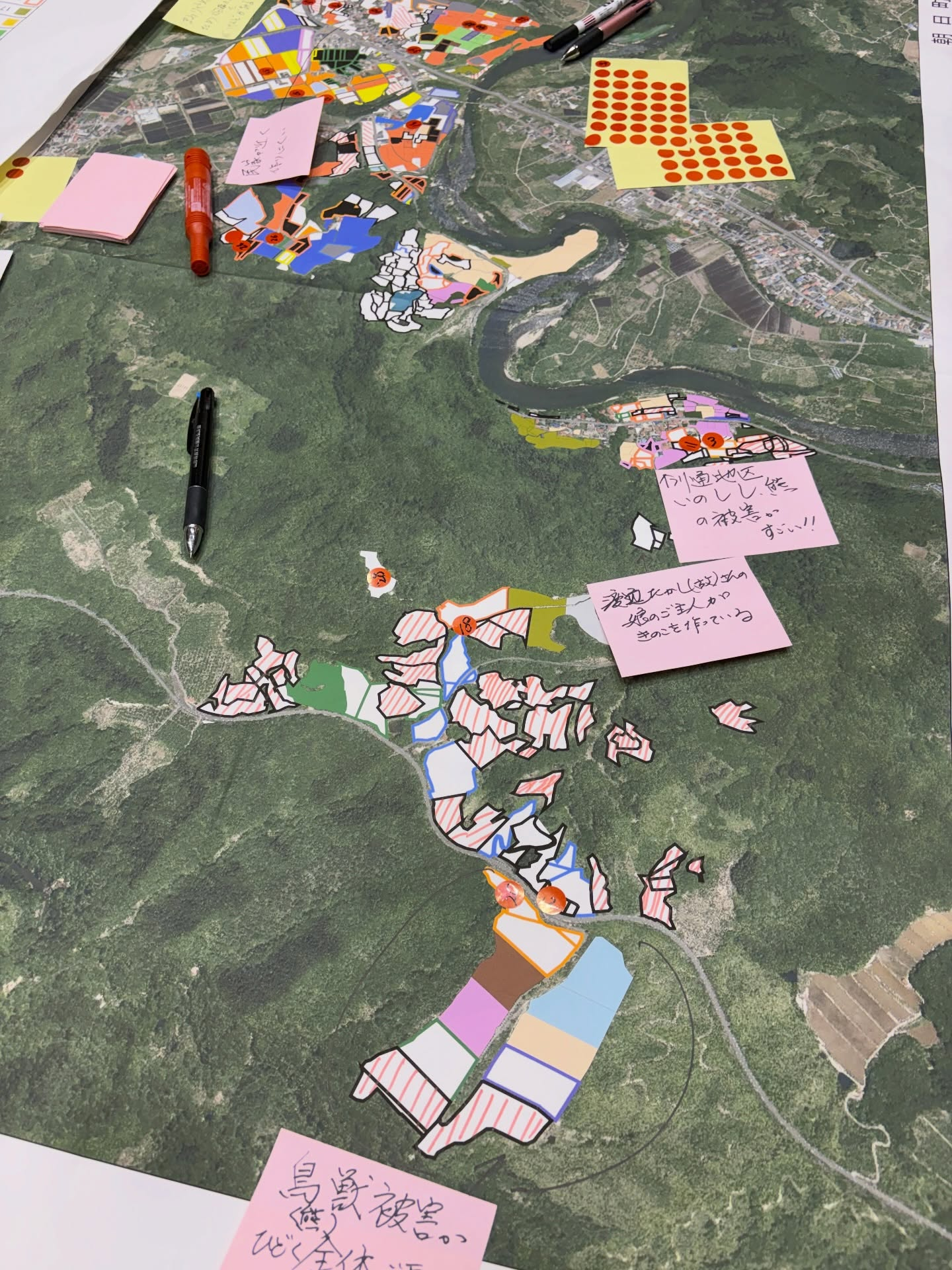 こんばんは！本日、私たちの農業委員会のメンバーが、朝日町北部