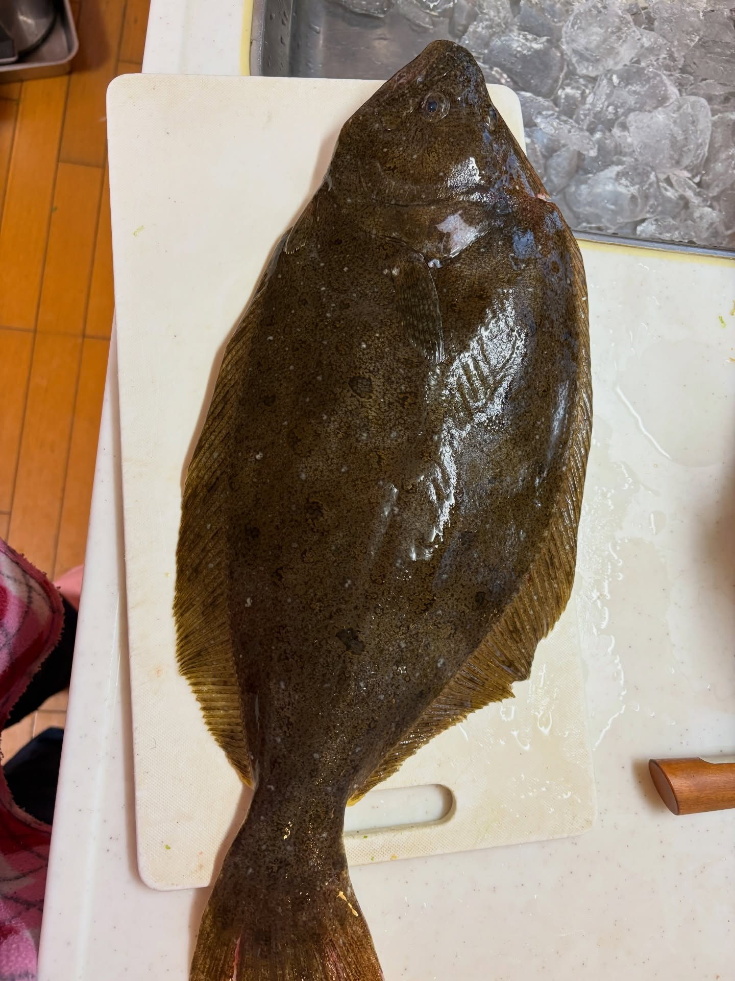 おはようございます！今朝は、夫の同級生からいただいた立派なヒ