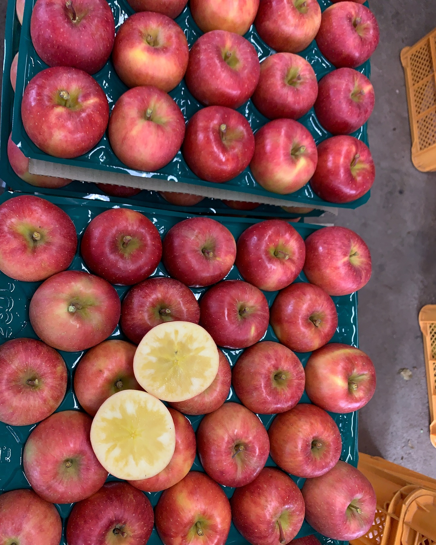 おはようございます