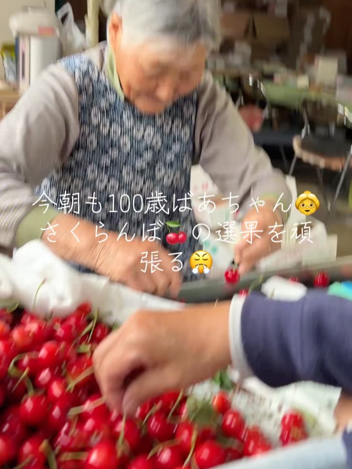 収穫の季節を無事に終えました