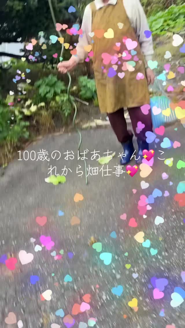 今日も楽しみがいっぱい！