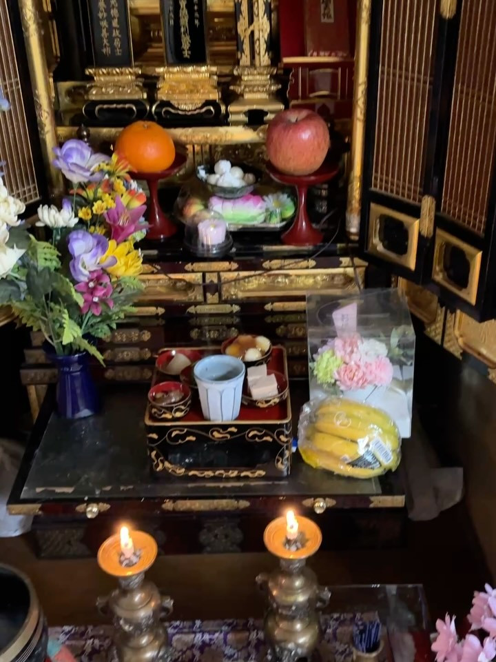 おはようございます！今日は、春の訪れを感じるお彼岸の入りです