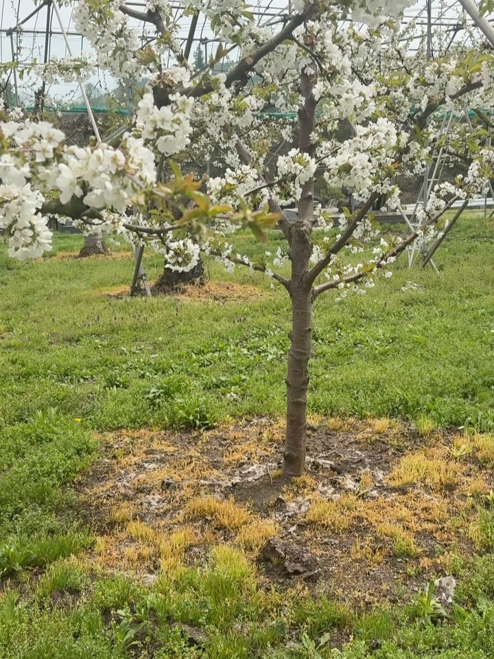 本日も民宿を訪れてくださった皆様、誠にありがとうございました