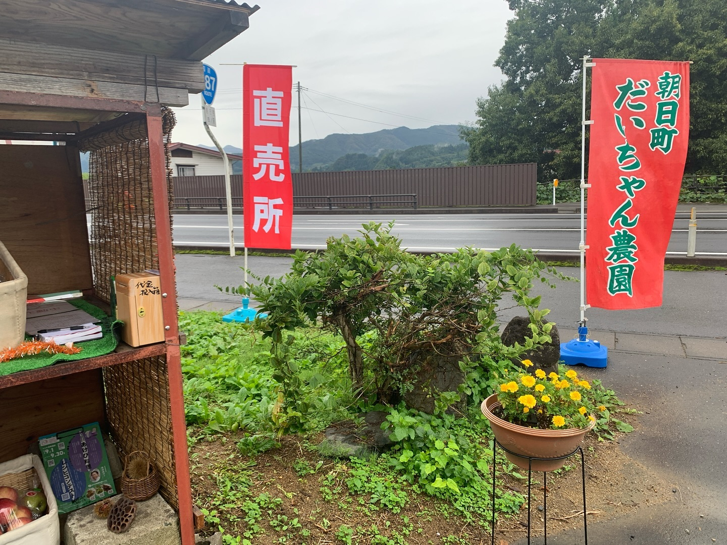 昨夜は久しぶりに茶道のお稽古に参加しました✨