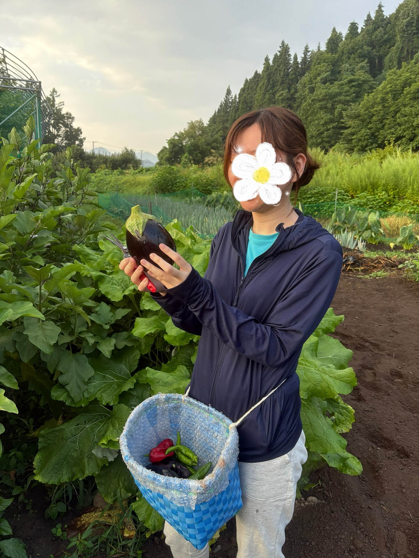 おはようございます！朝日町の素晴らしさをご堪能いただけました