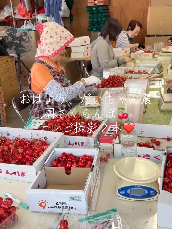 さくらんぼの季節が終わろうとしてます