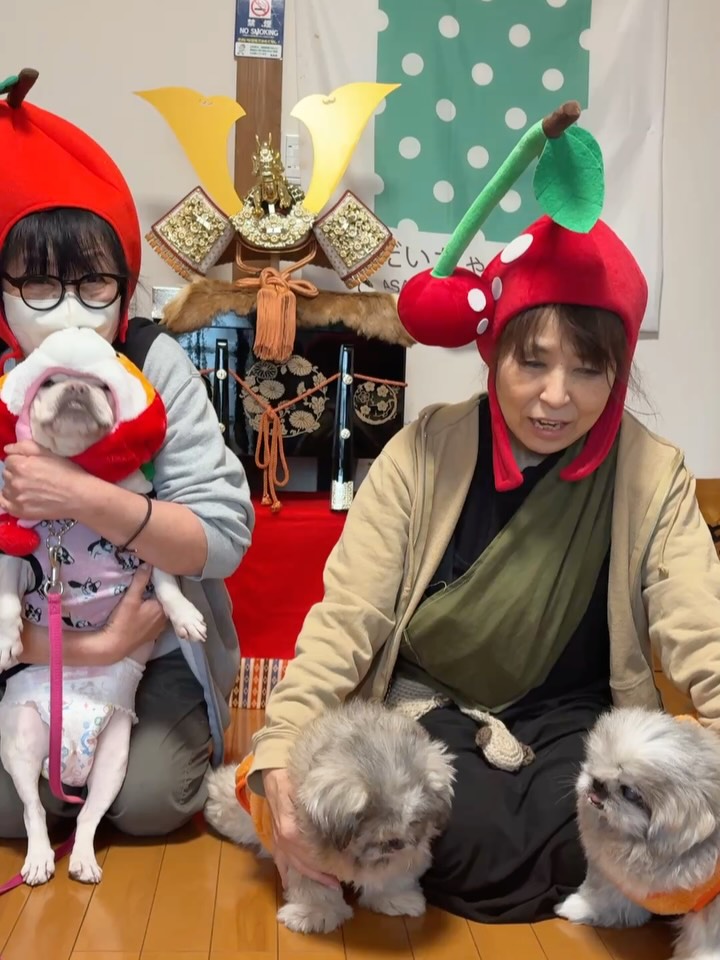 おはようございます☀️✨今日、だいちゃん農園ゲストハウスを後